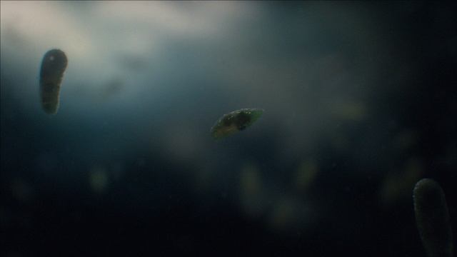 Космос: Пространство и время 2 серия