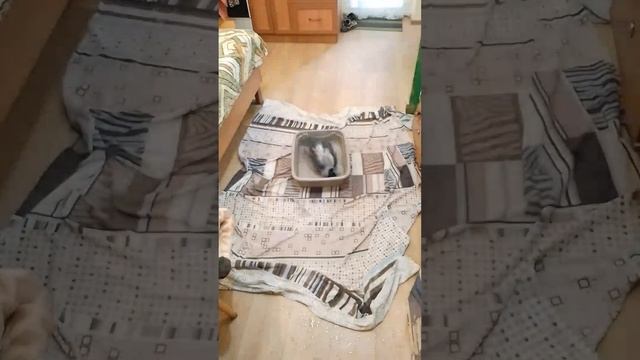 1000014934.mp4