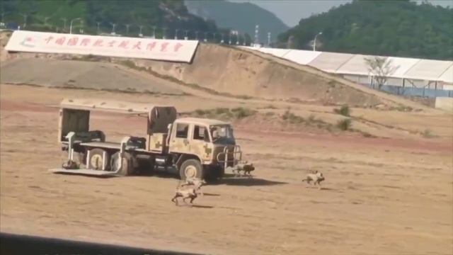 Китайская армия тестирует боевых робопсов