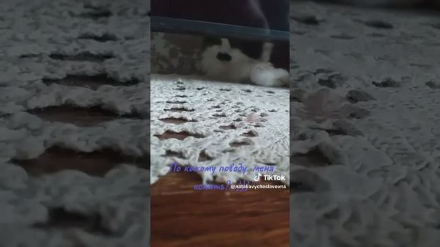 Чего меня искать?...)))