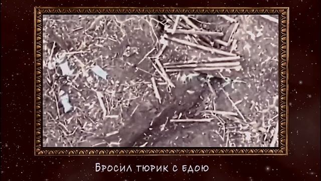 Закарья - один в окопах