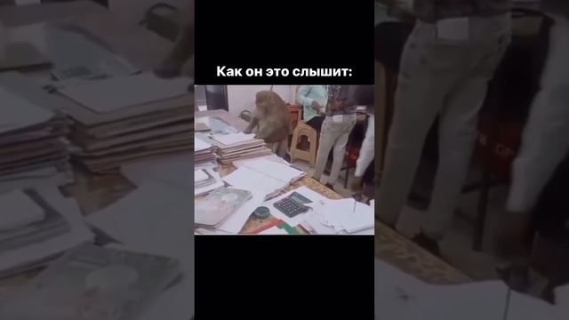 Еще больше про Авито и маркетинг на моем канале