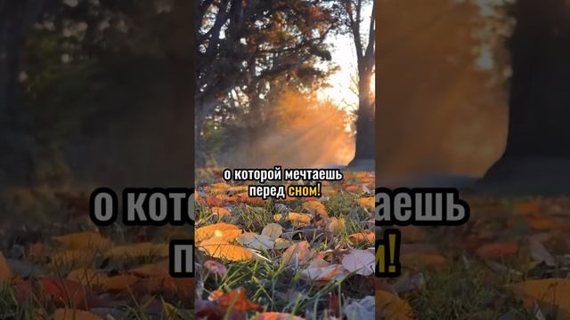 Начинай сегодня жить той жизнью