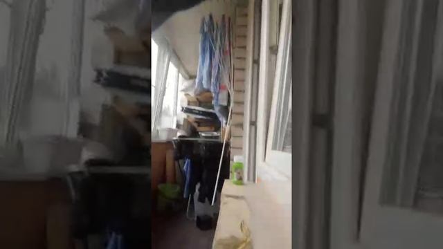 Стингерфлин стал инопланетянином игрушечными