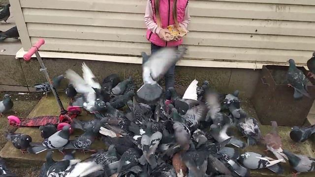 Ева с голубями