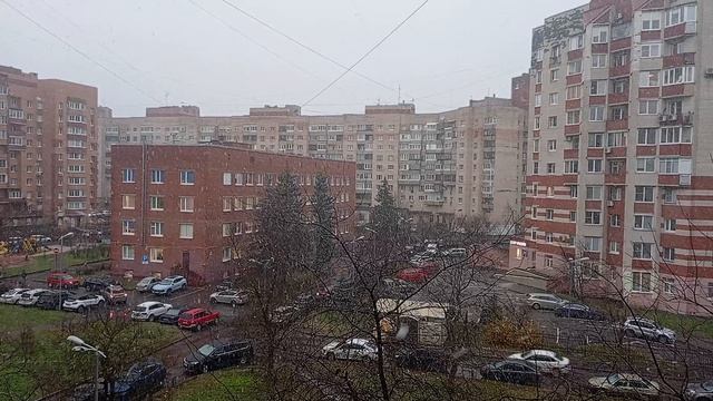 18.11.2024 . Погода Петербург . 14:42 . +3°