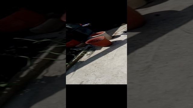 1000002549.mp4