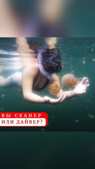 Вы сканер или дайвер