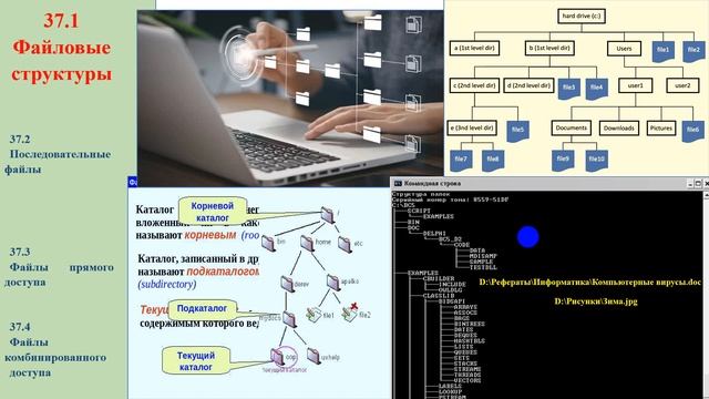 55. 37.1 Суть файловых структур