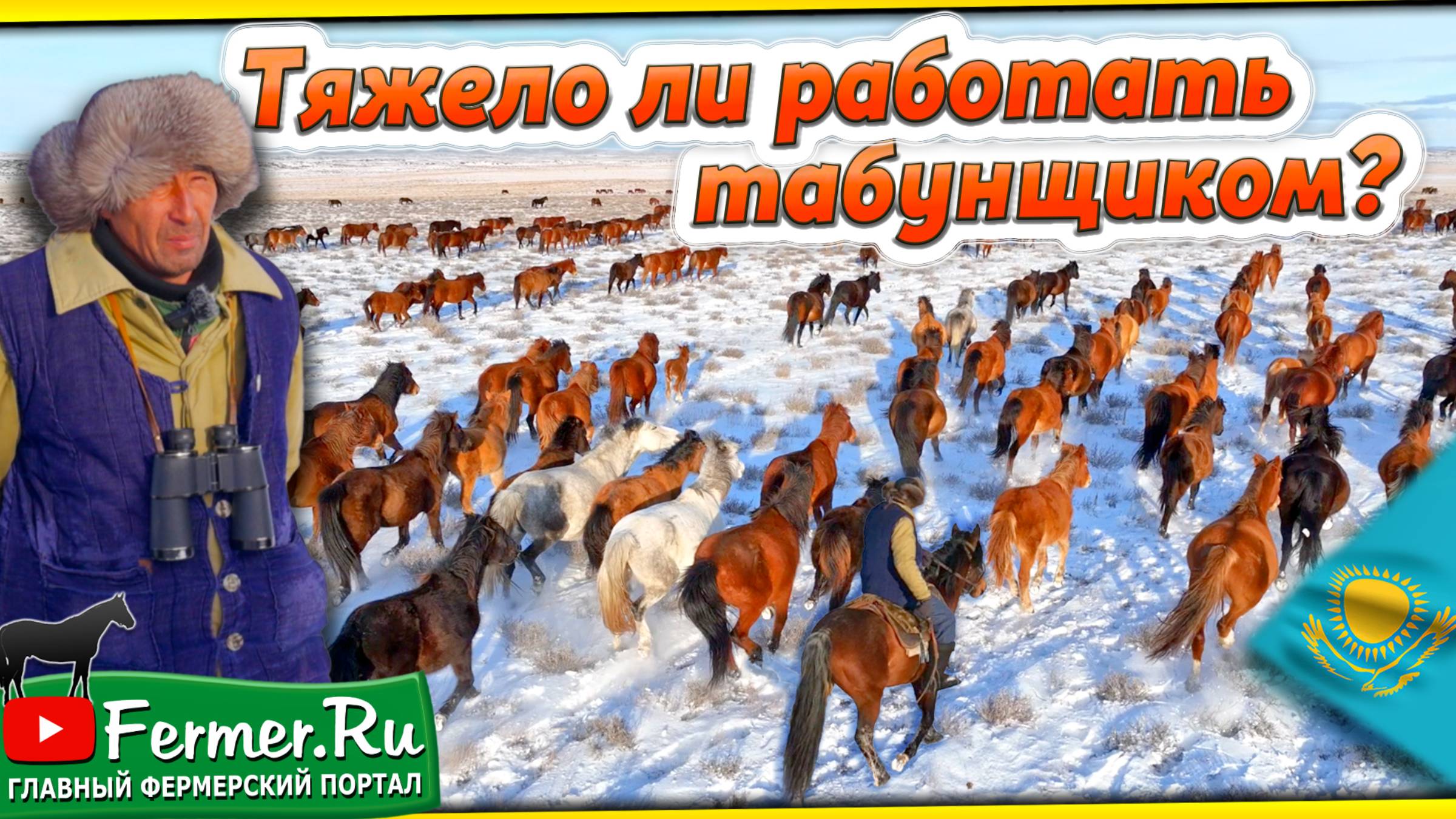 Как получить первоклассный табун? Что важно знать? Бизнес в коневодстве. Казахские лошади зимой