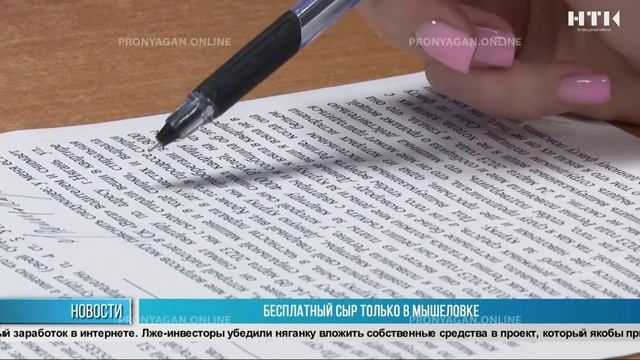 Бесплатный сыр только в мышеловке