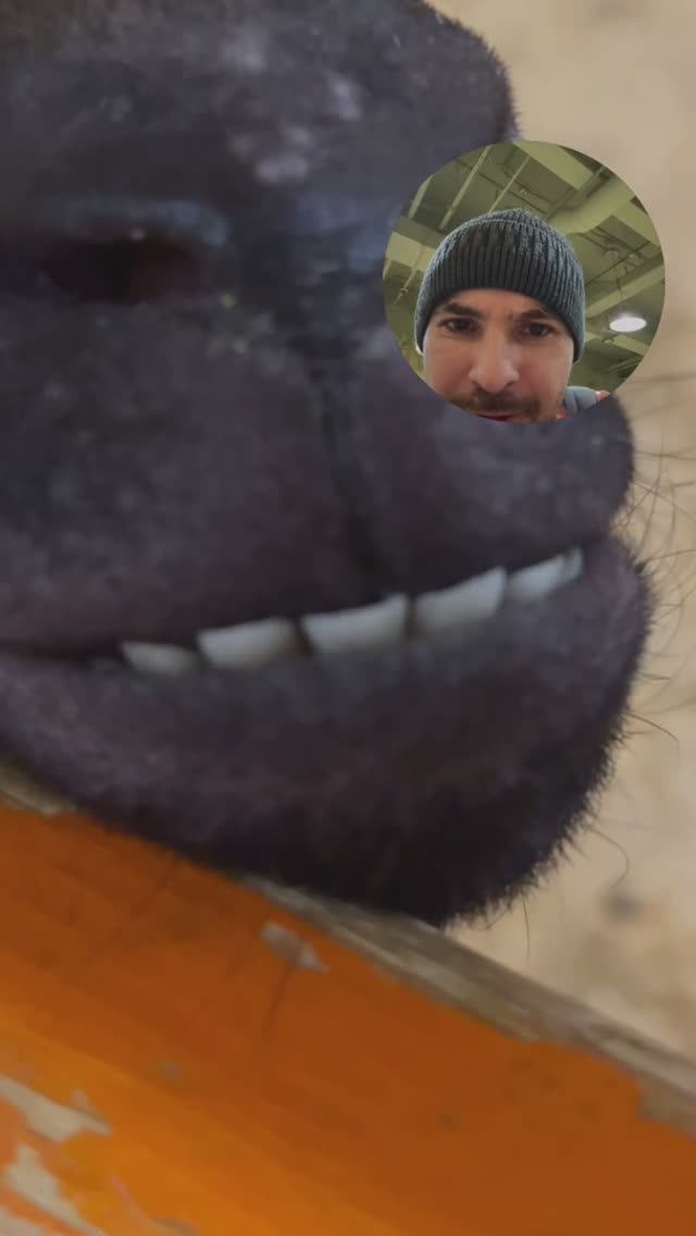 😬🐐Красивые зубы козы