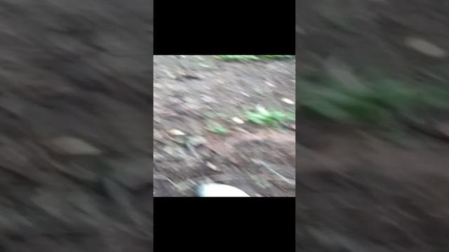 призраки идут за нами