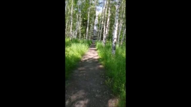 Савин Виталий-Официантка из ресторана Райса..wma