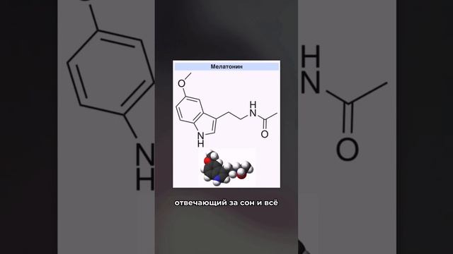 Какой гормон отвечает за яснознание и эмоциональное считывание других людей? Подробности в описании