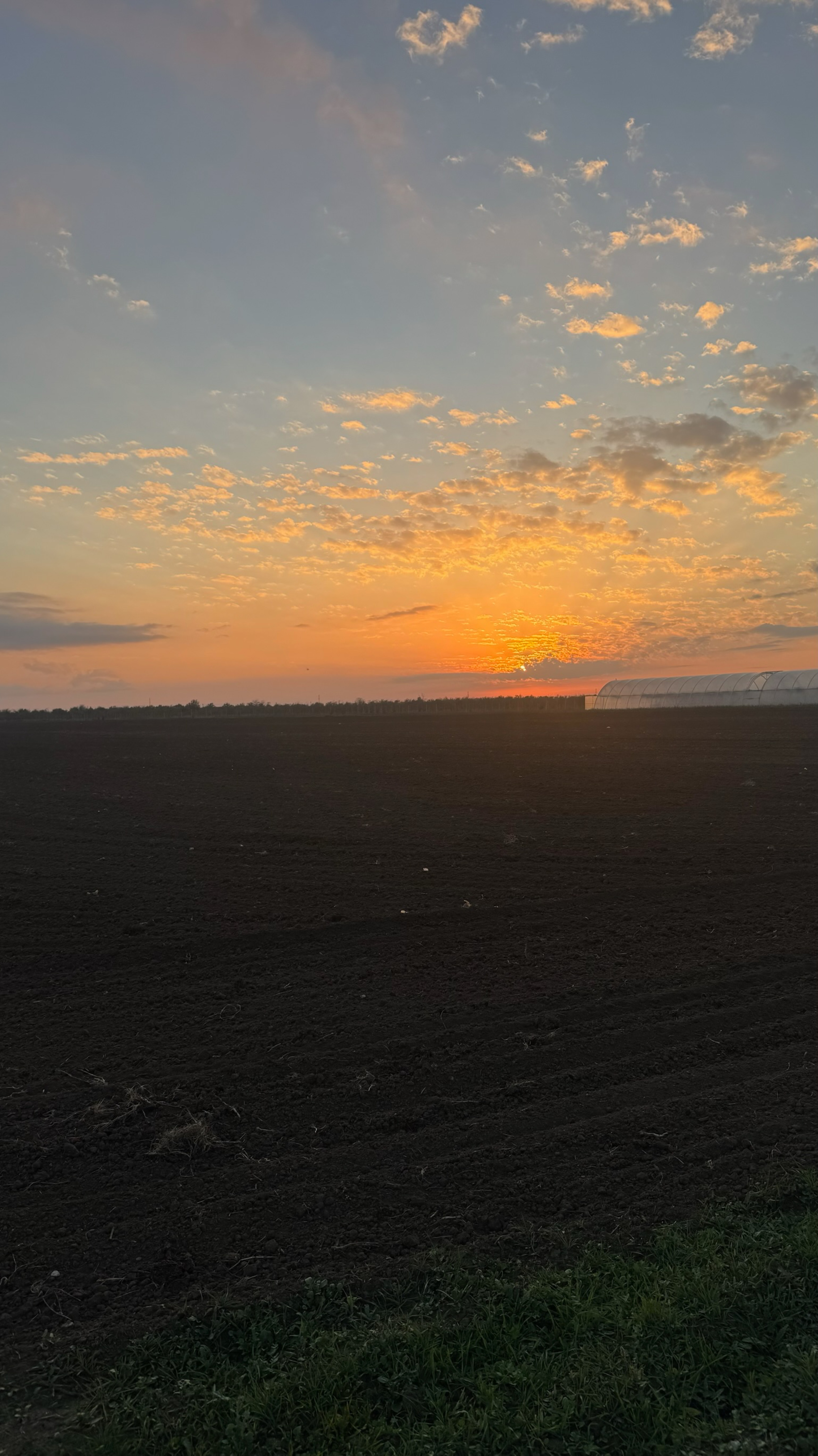 Жизнь за городом