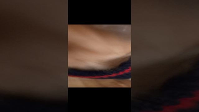 1000000118.mp4