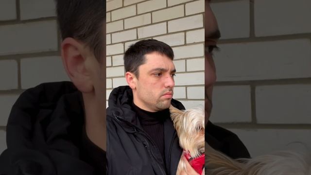 Решил выйти с собакой погулять, тем временем соседи…