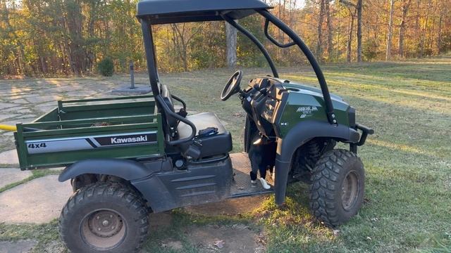 Сажаем Тюльпаны Наш Вечер Эгине Семейный Влог Heghineh