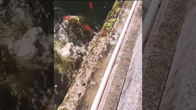 Подпишись на Нас для тебя это пустяк, а нам будет очень приятно