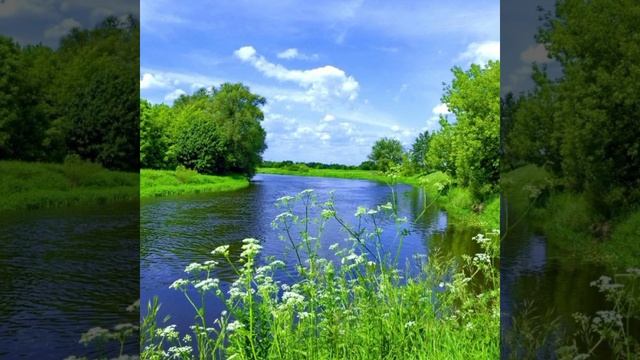 Пётр Ильич Чайковский (Лето(июнь)