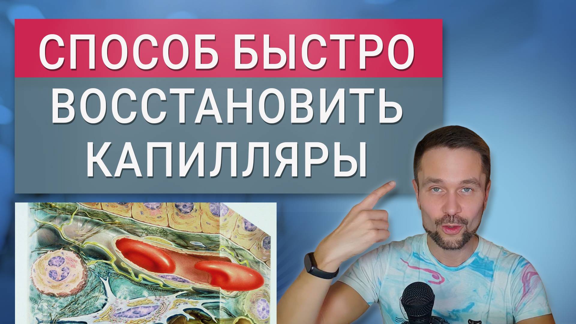 Основа всех болезней – капилляры. Как восстановить источник жизни?