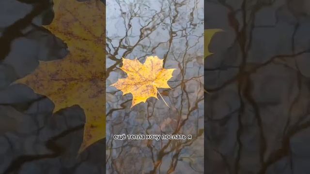 СТИХИ В ПОТОКЕ