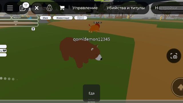 игра с Матвеем