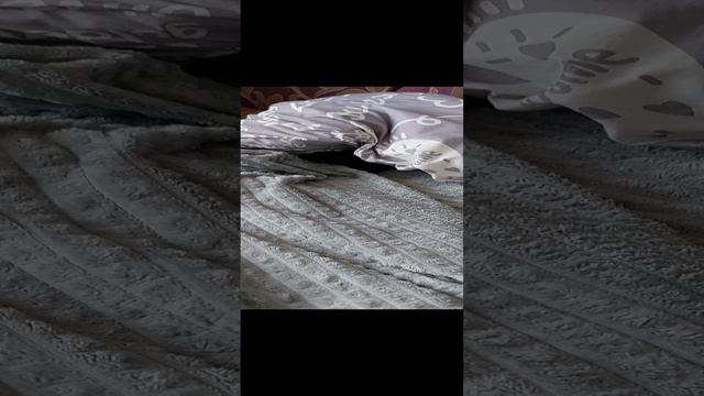 малыш амстаффик прячется от шума стиральной машинки