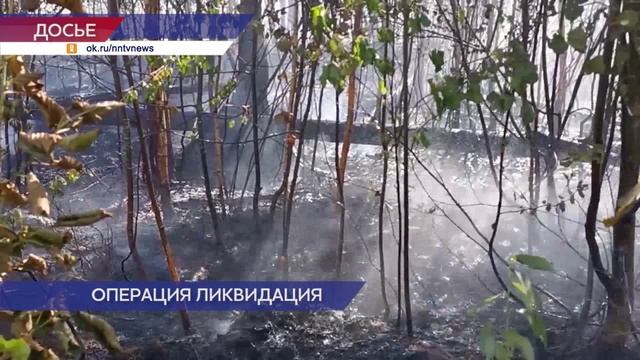 Нижегородская область вошла в топ-5 регионов страны по оперативности тушения лесных пожаров