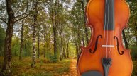 Скрипка музыка. Современная скрипка. Спокойная скрипка. Грустная скрипка. Классическая музыка