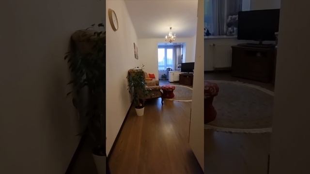 1000047564.mp4