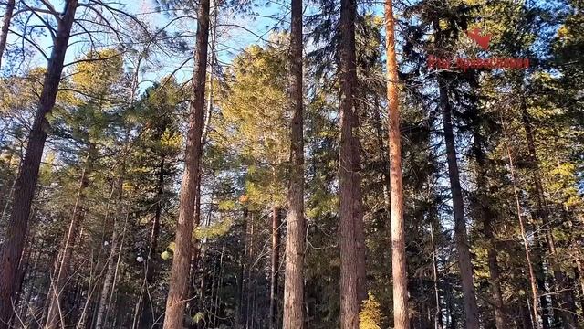 "Не губите себя злобой и гневом все это от дьявола"  Иоанн Кронштадтский