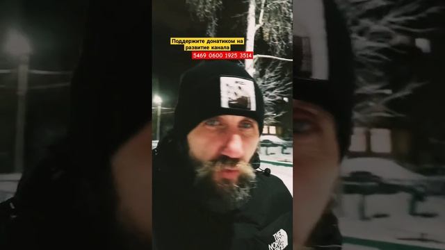 Как вести себя при встрече с Алабаем? #shorts