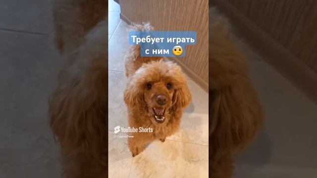 Утро начинается