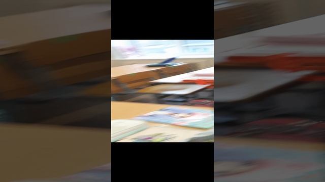 20241118_123744.mp4