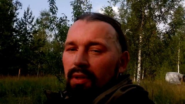 Сенокос в Деревне - Слепни Одолели - 2021