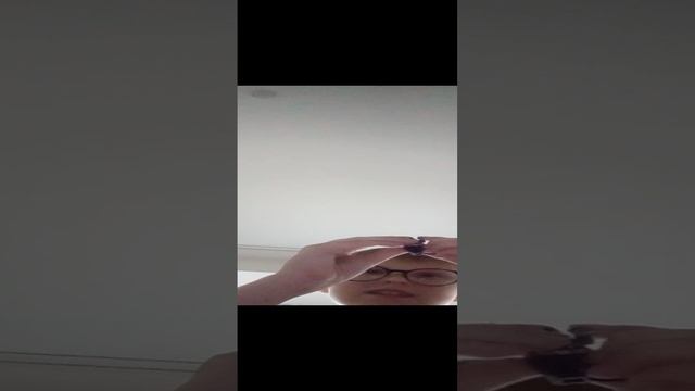 VID_20241118_154136.mp4