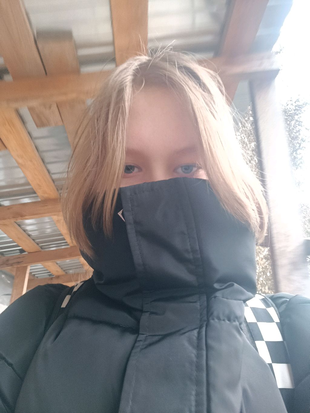 трансляция общение