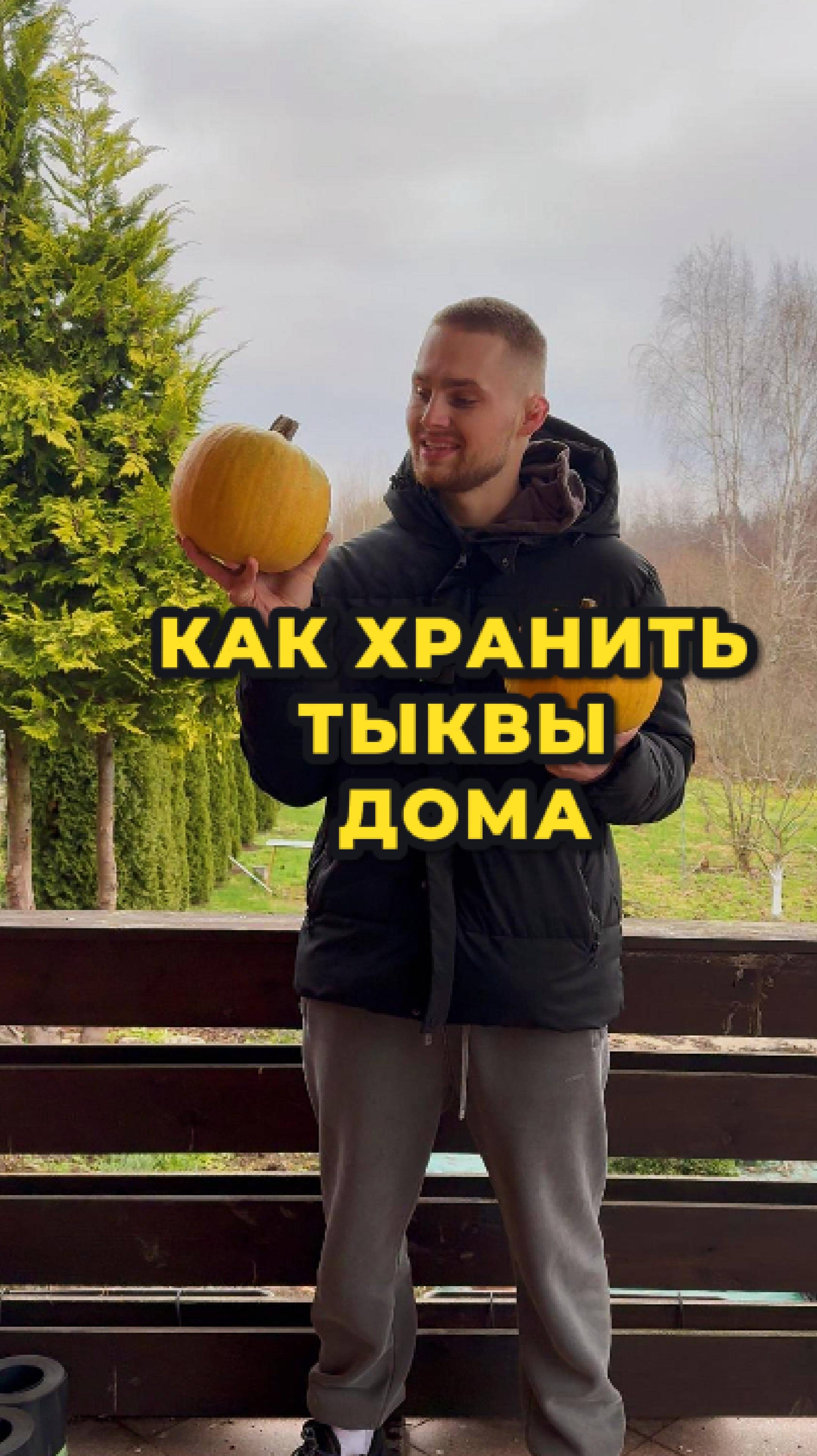 Как хранить тыквы дома