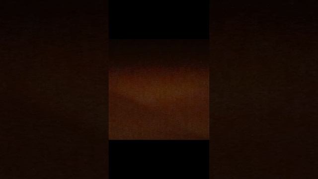 Черепашка и Ежик