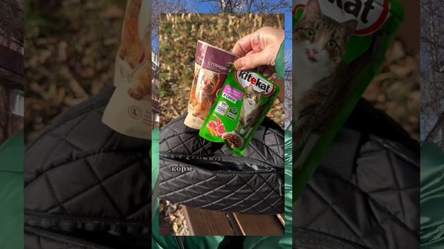 КЛУБ ЛЮБИТЕЛЕЙ ЖИВОТНЫХ