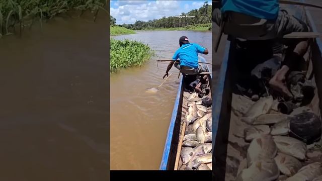 Удивительные навыки стрельбы из лука по рыбе