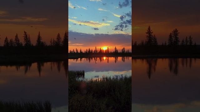 ВЕЧЕР В ЛЕСУ / ФОТОПОХОДНИКИ #путешествия #природа #арктика #закат #поход #север #лес #лето #озеро