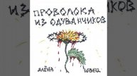 кавер на Алёна Швец - мальчики не плачут