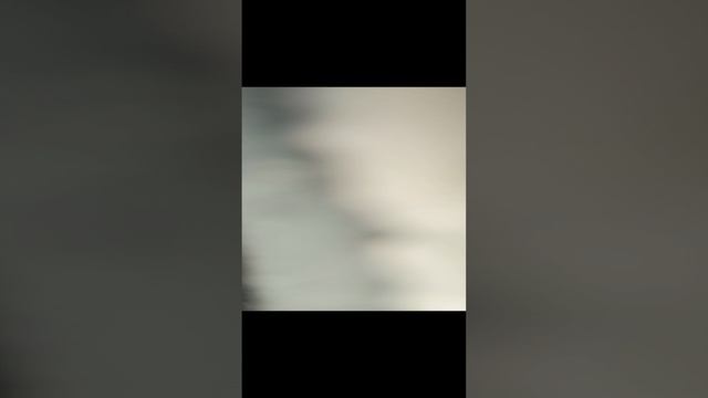 вторая часть соняша