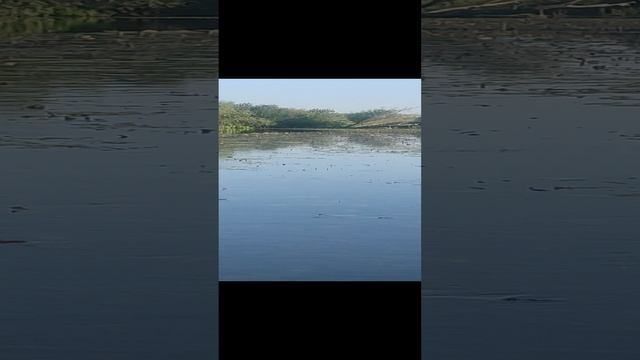 1000164671.mp4