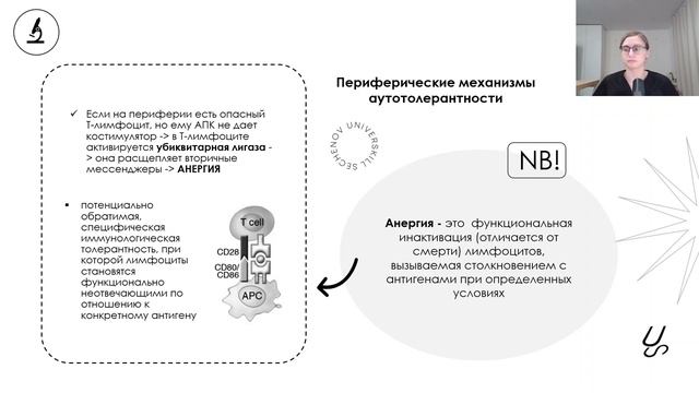 Иммунология | Аутоиммунитет, аутоиммунные заболевания