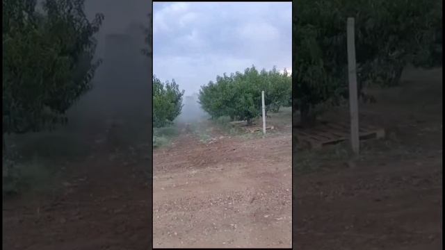 Опрыскиватель для садов и виноградников ОПВ2000К