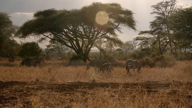 Всё, чего хочу я. Константин Гусихин feat. Africa.